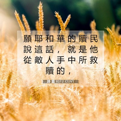 Picture 07 - 詩 篇 107:2 CUVT - 願 耶 和 華 的 贖 民 說 這 話 ， 就 - Bible Verse Picture