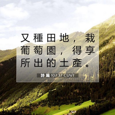 Picture 07 - 詩 篇 107:37 CUVT - 又 種 田 地 ， 栽 葡 萄 園 ， 得 享 - Bible Verse Picture