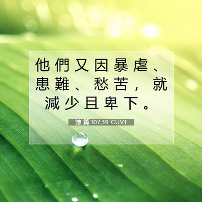 Picture 07 - 詩 篇 107:39 CUVT - 他 們 又 因 暴 虐 、 患 難 、 愁 苦 - Bible Verse Picture
