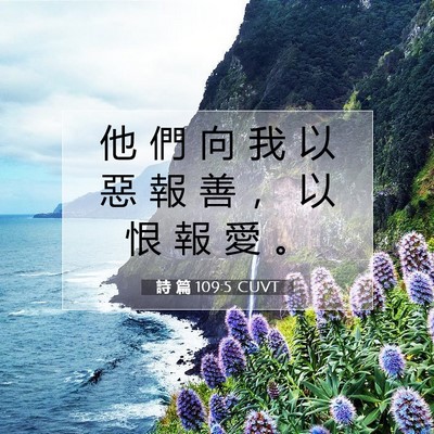 Picture 07 - 詩 篇 109:5 CUVT - 他 們 向 我 以 惡 報 善 ， 以 恨 報 - Bible Verse Picture