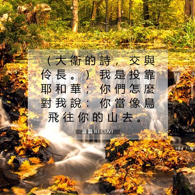 Picture 07 - 詩 篇 11:1 CUVT - （ 大 衛 的 詩 ， 交 與 伶 長 。 ） - Bible Verse Picture