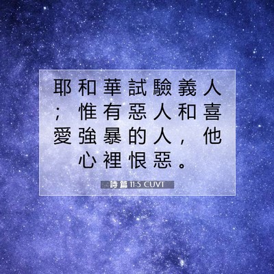Picture 07 - 詩 篇 11:5 CUVT - 耶 和 華 試 驗 義 人 ； 惟 有 惡 人 - Bible Verse Picture