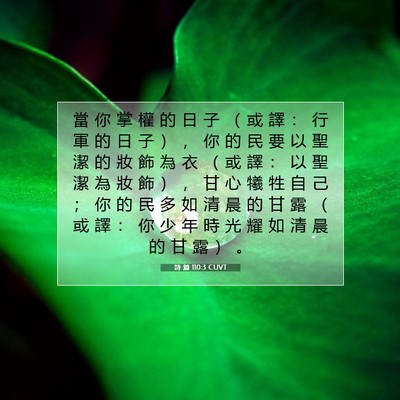 Picture 07 - 詩 篇 110:3 CUVT - 當 你 掌 權 的 日 子 （ 或 譯 ： 行 - Bible Verse Picture