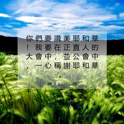Picture 07 - 詩 篇 111:1 CUVT - 你 們 要 讚 美 耶 和 華 ！ 我 要 在 - Bible Verse Picture