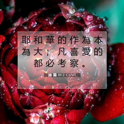 Picture 07 - 詩 篇 111:2 CUVT - 耶 和 華 的 作 為 本 為 大 ； 凡 喜 - Bible Verse Picture