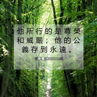 Picture 07 - 詩 篇 111:3 CUVT - 他 所 行 的 是 尊 榮 和 威 嚴 ； 他 - Bible Verse Picture
