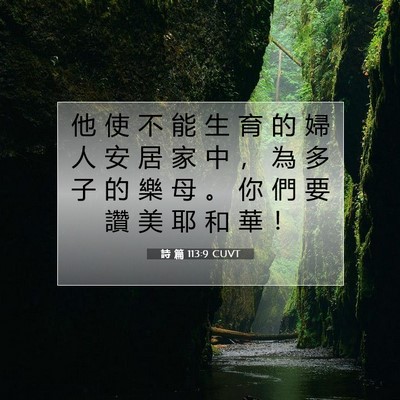 Picture 07 - 詩 篇 113:9 CUVT - 他 使 不 能 生 育 的 婦 人 安 居 家 - Bible Verse Picture