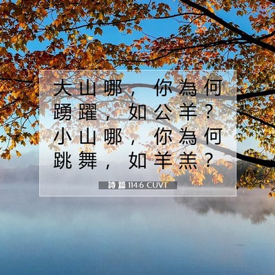 Picture 07 - 詩 篇 114:6 CUVT - 大 山 哪 ， 你 為 何 踴 躍 ， 如 公 - Bible Verse Picture