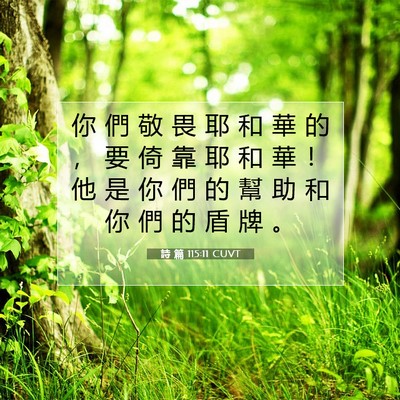 Picture 07 - 詩 篇 115:11 CUVT - 你 們 敬 畏 耶 和 華 的 ， 要 倚 靠 - Bible Verse Picture