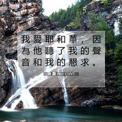 Picture 07 - 詩 篇 116:1 CUVT - 我 愛 耶 和 華 ， 因 為 他 聽 了 我 - Bible Verse Picture