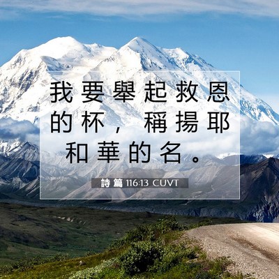 Picture 07 - 詩 篇 116:13 CUVT - 我 要 舉 起 救 恩 的 杯 ， 稱 揚 耶 - Bible Verse Picture