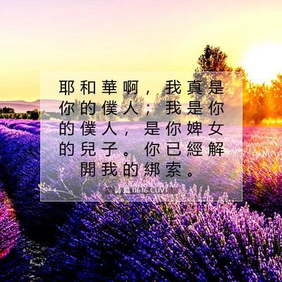Picture 07 - 詩 篇 116:16 CUVT - 耶 和 華 啊 ， 我 真 是 你 的 僕 人 - Bible Verse Picture