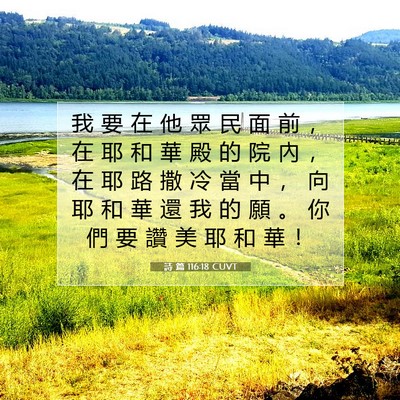 Picture 07 - 詩 篇 116:18 CUVT - 我 要 在 他 眾 民 面 前 ， 在 耶 和 - Bible Verse Picture
