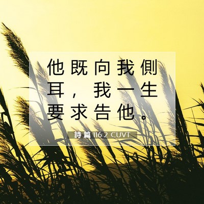 Picture 07 - 詩 篇 116:2 CUVT - 他 既 向 我 側 耳 ， 我 一 生 要 求 - Bible Verse Picture