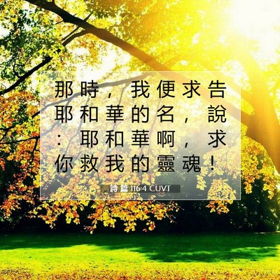 Picture 07 - 詩 篇 116:4 CUVT - 那 時 ， 我 便 求 告 耶 和 華 的 名 - Bible Verse Picture