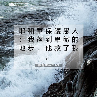 Picture 07 - 詩 篇 116:6 CUVT - 耶 和 華 保 護 愚 人 ； 我 落 到 卑 - Bible Verse Picture