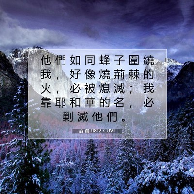 Picture 07 - 詩 篇 118:12 CUVT - 他 們 如 同 蜂 子 圍 繞 我 ， 好 像 - Bible Verse Picture