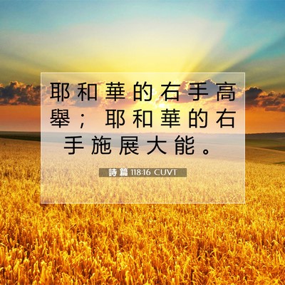 Picture 07 - 詩 篇 118:16 CUVT - 耶 和 華 的 右 手 高 舉 ； 耶 和 華 - Bible Verse Picture