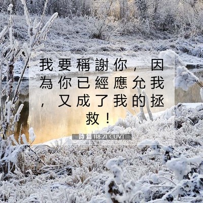 Picture 07 - 詩 篇 118:21 CUVT - 我 要 稱 謝 你 ， 因 為 你 已 經 應 - Bible Verse Picture