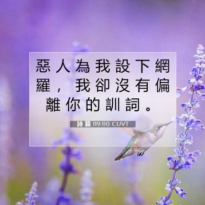 Picture 07 - 詩 篇 119:110 CUVT - 惡 人 為 我 設 下 網 羅 ， 我 卻 沒 - Bible Verse Picture