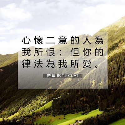 Picture 07 - 詩 篇 119:113 CUVT - 心 懷 二 意 的 人 為 我 所 恨 ； 但 - Bible Verse Picture