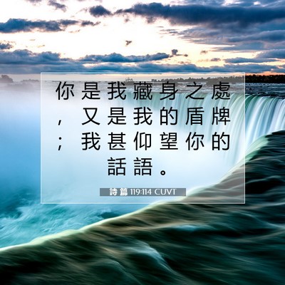 Picture 07 - 詩 篇 119:114 CUVT - 你 是 我 藏 身 之 處 ， 又 是 我 的 - Bible Verse Picture