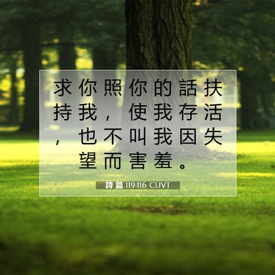 Picture 07 - 詩 篇 119:116 CUVT - 求 你 照 你 的 話 扶 持 我 ， 使 我 - Bible Verse Picture