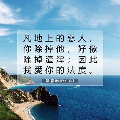 Picture 07 - 詩 篇 119:119 CUVT - 凡 地 上 的 惡 人 ， 你 除 掉 他 ， - Bible Verse Picture