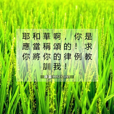 Picture 07 - 詩 篇 119:12 CUVT - 耶 和 華 啊 ， 你 是 應 當 稱 頌 的 - Bible Verse Picture