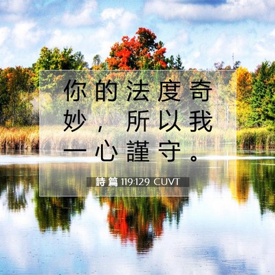 Picture 07 - 詩 篇 119:129 CUVT - 你 的 法 度 奇 妙 ， 所 以 我 一 心 - Bible Verse Picture