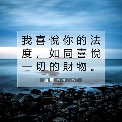 Picture 07 - 詩 篇 119:14 CUVT - 我 喜 悅 你 的 法 度 ， 如 同 喜 悅 - Bible Verse Picture