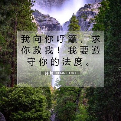 Picture 07 - 詩 篇 119:146 CUVT - 我 向 你 呼 籲 ， 求 你 救 我 ！ 我 - Bible Verse Picture