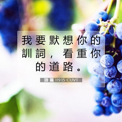 Picture 07 - 詩 篇 119:15 CUVT - 我 要 默 想 你 的 訓 詞 ， 看 重 你 - Bible Verse Picture