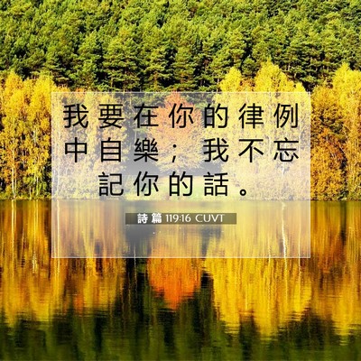 Picture 07 - 詩 篇 119:16 CUVT - 我 要 在 你 的 律 例 中 自 樂 ； 我 - Bible Verse Picture