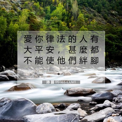 Picture 07 - 詩 篇 119:165 CUVT - 愛 你 律 法 的 人 有 大 平 安 ， 甚 - Bible Verse Picture