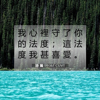 Picture 07 - 詩 篇 119:167 CUVT - 我 心 裡 守 了 你 的 法 度 ； 這 法 - Bible Verse Picture