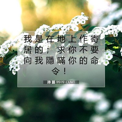 Picture 07 - 詩 篇 119:19 CUVT - 我 是 在 地 上 作 寄 居 的 ； 求 你 - Bible Verse Picture