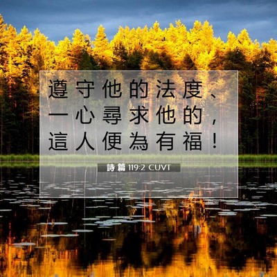 Picture 07 - 詩 篇 119:2 CUVT - 遵 守 他 的 法 度 、 一 心 尋 求 他 - Bible Verse Picture