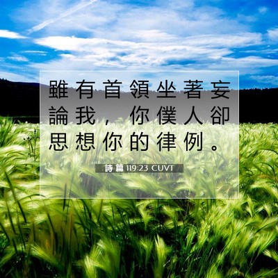 Picture 07 - 詩 篇 119:23 CUVT - 雖 有 首 領 坐 著 妄 論 我 ， 你 僕 - Bible Verse Picture
