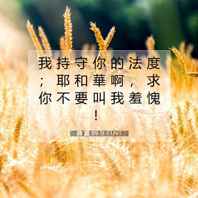 Picture 07 - 詩 篇 119:31 CUVT - 我 持 守 你 的 法 度 ； 耶 和 華 啊 - Bible Verse Picture