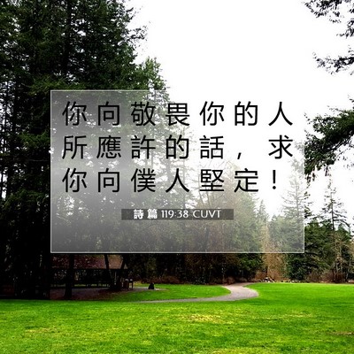 Picture 07 - 詩 篇 119:38 CUVT - 你 向 敬 畏 你 的 人 所 應 許 的 話 - Bible Verse Picture