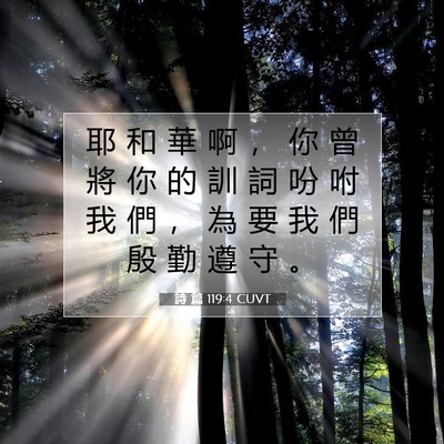 Picture 07 - 詩 篇 119:4 CUVT - 耶 和 華 啊 ， 你 曾 將 你 的 訓 詞 - Bible Verse Picture
