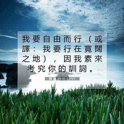 Picture 07 - 詩 篇 119:45 CUVT - 我 要 自 由 而 行 （ 或 譯 ： 我 要 - Bible Verse Picture