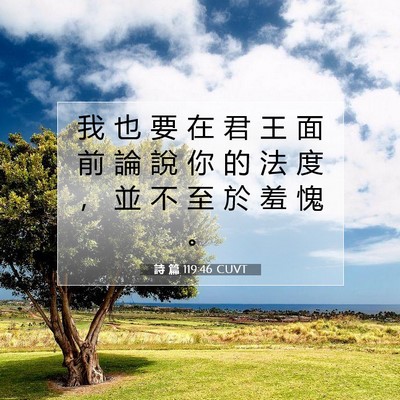 Picture 07 - 詩 篇 119:46 CUVT - 我 也 要 在 君 王 面 前 論 說 你 的 - Bible Verse Picture