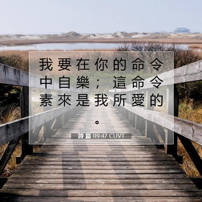 Picture 07 - 詩 篇 119:47 CUVT - 我 要 在 你 的 命 令 中 自 樂 ； 這 - Bible Verse Picture
