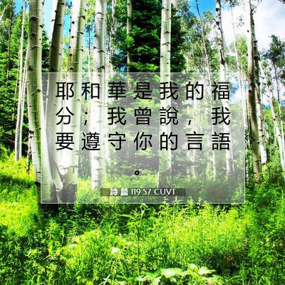 Picture 07 - 詩 篇 119:57 CUVT - 耶 和 華 是 我 的 福 分 ； 我 曾 說 - Bible Verse Picture
