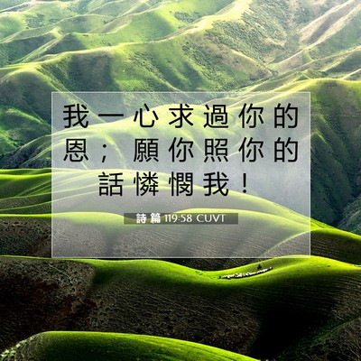 Picture 07 - 詩 篇 119:58 CUVT - 我 一 心 求 過 你 的 恩 ； 願 你 照 - Bible Verse Picture
