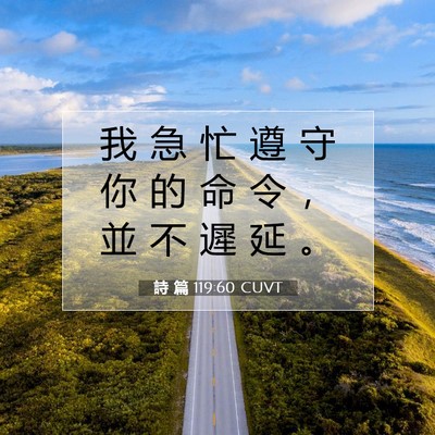 Picture 07 - 詩 篇 119:60 CUVT - 我 急 忙 遵 守 你 的 命 令 ， 並 不 - Bible Verse Picture