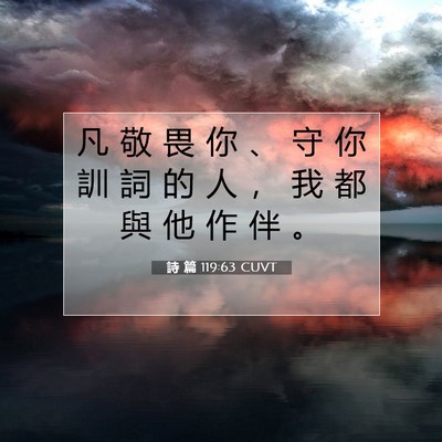 Picture 07 - 詩 篇 119:63 CUVT - 凡 敬 畏 你 、 守 你 訓 詞 的 人 ， - Bible Verse Picture