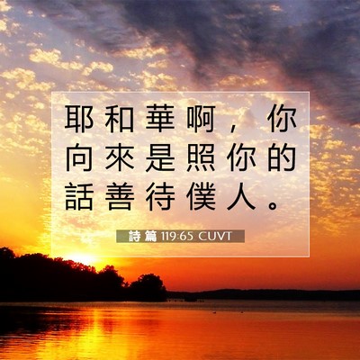 Picture 07 - 詩 篇 119:65 CUVT - 耶 和 華 啊 ， 你 向 來 是 照 你 的 - Bible Verse Picture